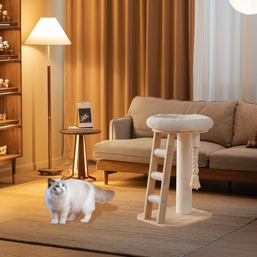 Modern Cat Tree Small Tower with Scratching Post for Indoor (with Ladder)