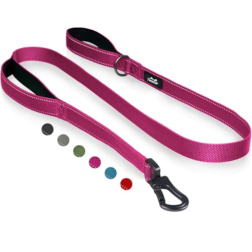 6FT 1IN Heavy Duty Dog Leash for Large Dogs with 2 Padded Handles (Rose / 1 in x 6 ft)