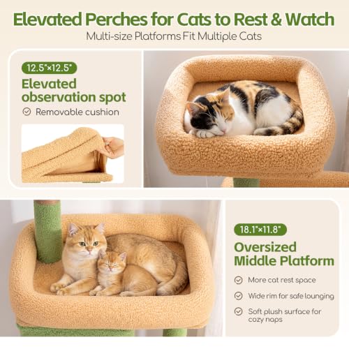 Cactus Cat Tree Tower 2 Condo Kitten Scratching Post (Cactus / 54 inch)