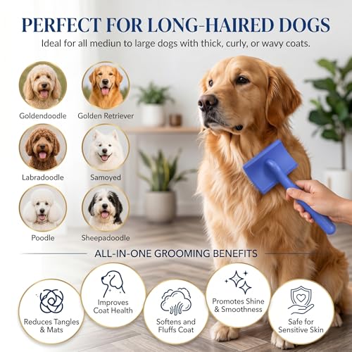 Slicker Brush for Dog (Large / Blue)