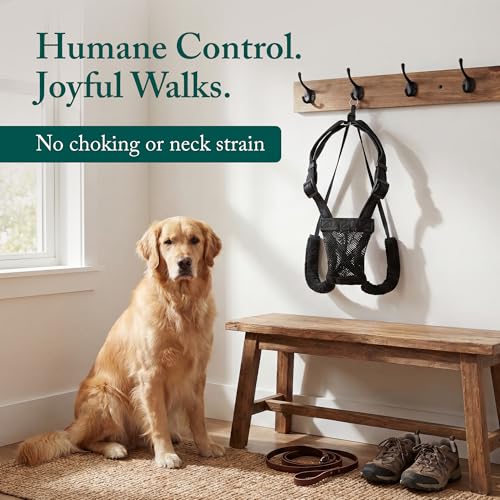 No Pull Dog Harness (Large/X-Large / Red)