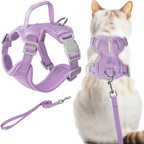 Cat Harness and Leash Set Escape Proof for Kitten Walking (Medium / Violet Purple)