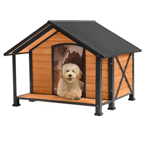 Dog House Outdoor & Indoor
