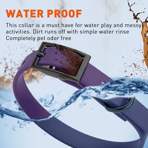Biothane Waterproof Dog Collar Strong Coated Nylon Webbing with Black Hardware Odor (W1/2" x L9-12" / Violet Purple)