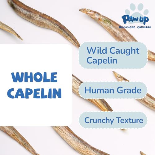 Freeze Dried Capelin with Roe Dog Treats