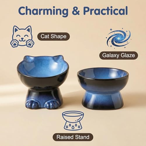 Elevated Cat Bowls (6.8 OZ+15.5 OZ / Blue & Black)