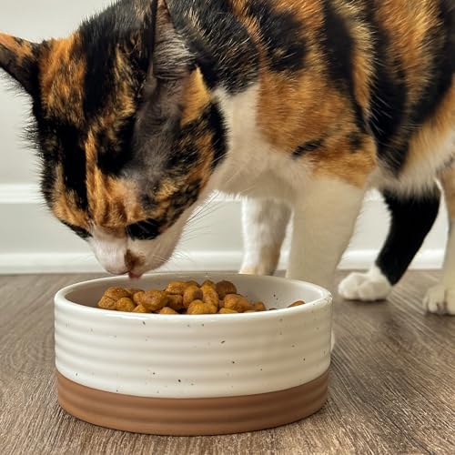 Ceramic Pet Bowl Size Small (Small / Vanilla White)