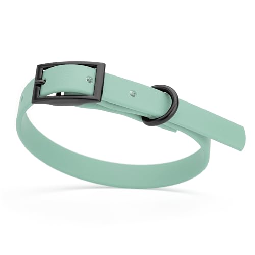 Biothane Waterproof Dog Collar Strong Coated Nylon Webbing with Black Hardware Odor (W1/2" x L9-12" / Sage Green)