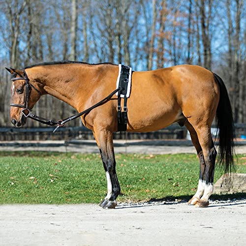 Fleece Lined Training Surcingle for Horses