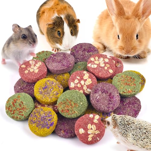 24Pcs Bunny Chew Toys (24 Count (Pack of 1))