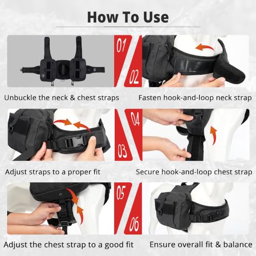 Dog Backpack & Saddle Bag (Black)