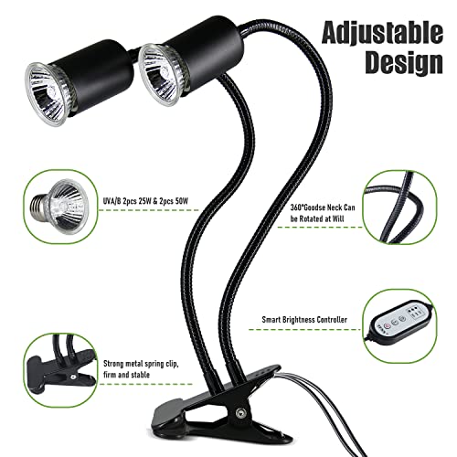 Reptile Heat Lamp