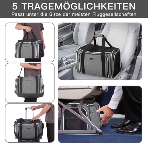 Expandable Cat Carrier with Travel Litter Box (Grey / 12.6"L x 6.9"W x 16.5"H)