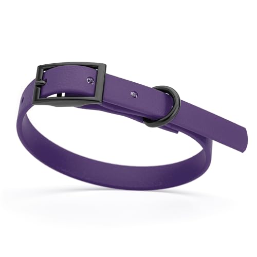 Biothane Waterproof Dog Collar Strong Coated Nylon Webbing with Black Hardware Odor (W1/2" x L9-12" / Violet Purple)