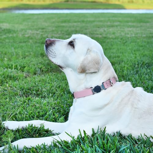 Biothane Waterproof Dog Collar with Herm Sprenger Black Stainless Steel Quick Release Buckle (W 1" x L 15"-25" / Pastel Purple)