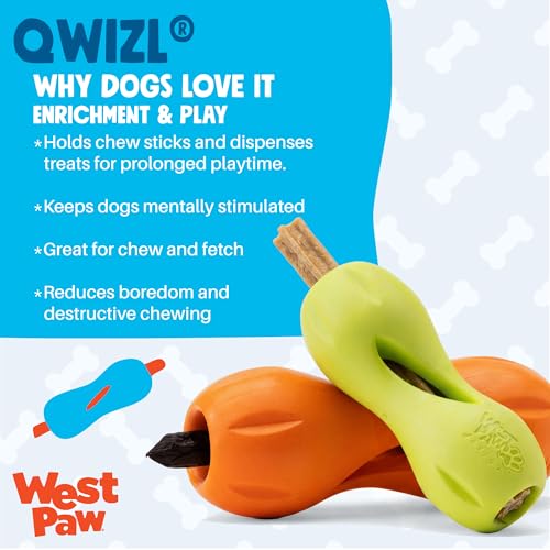 Qwizl Durable Zogoflex Dog Puzzle Toy for Mental Stimulation (Large / Tangerine)