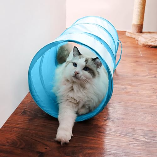 Cat Tunnel for Indoor Small Cats Kittens Rabbits (20 Inch (Pack of 3) / Black)