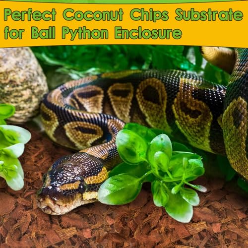 Organic 10LB Coconut Husk for Reptiles (10LB-1pack)