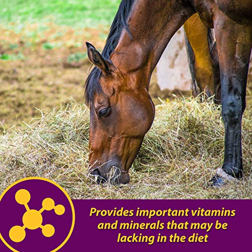 Farnam Horse Health Red Cell Pellets (Brown / 4 Pound (Pack of 1))