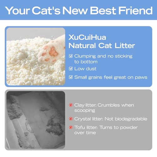 Natural Cat Litter Unscented (5.5 lb / Unscented)