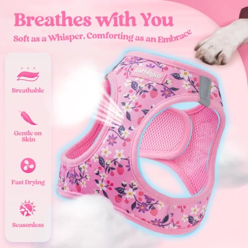 Dog Harness Small Sized and Leash Set (Pink Floral / Xs (chest: 13.3 - 15.5"))
