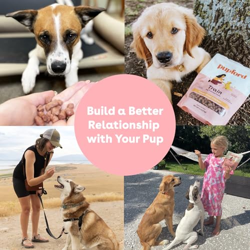 Freeze Dried Training Treats for Dogs & Puppies (4 Ounce (Pack of 1))