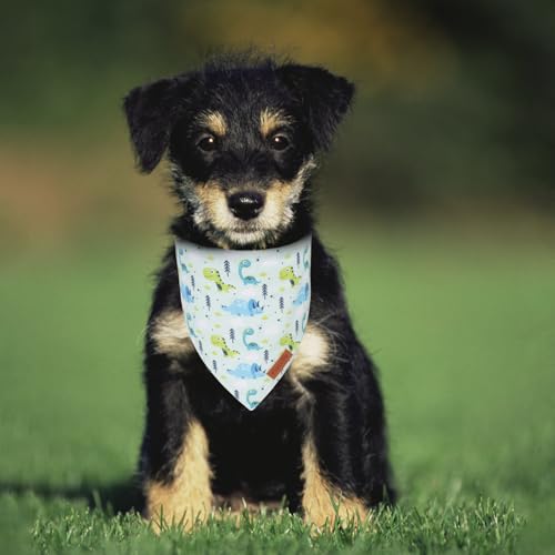 Dinosaurs Dog Bandana (Small / Dinosaurs-1)