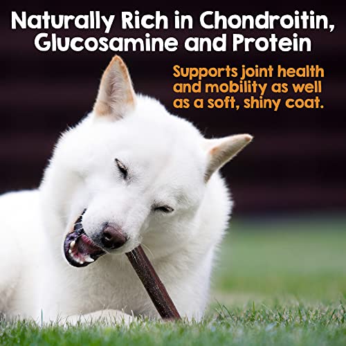 12" Beef Collagen Sticks for Dogs