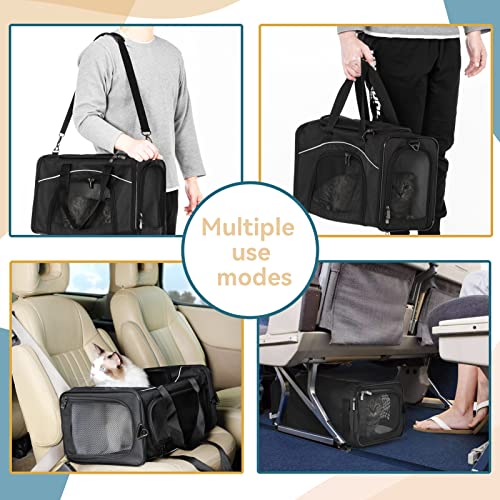 Two Way Placement Pet Carrier Airline Approved (Black / 19.0"L x 9.5"W x 12.0"H)