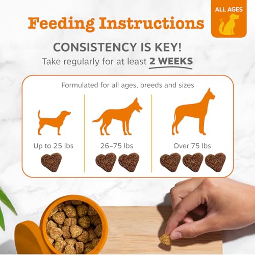 Senior Probiotics for Dogs (90 Count)