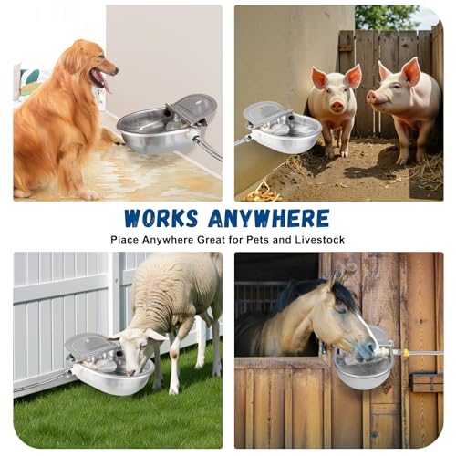 Automatic Chicken Waterer