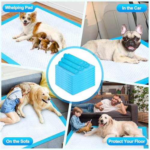 Pee Pads for Dogs & Cats 40"x40" 40 Count (40"x40")