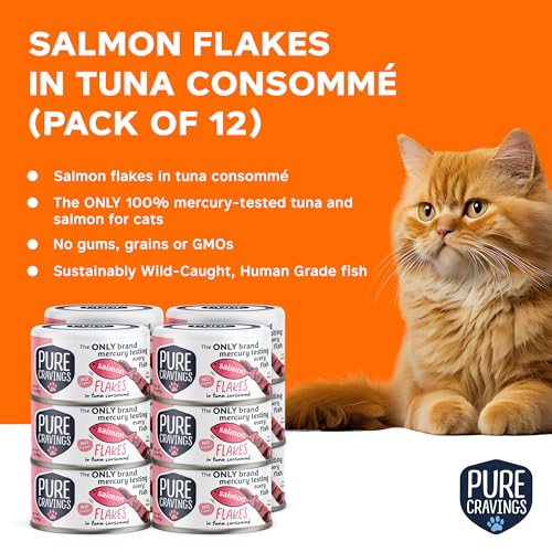 Salmon Flakes in Tuna Consommé