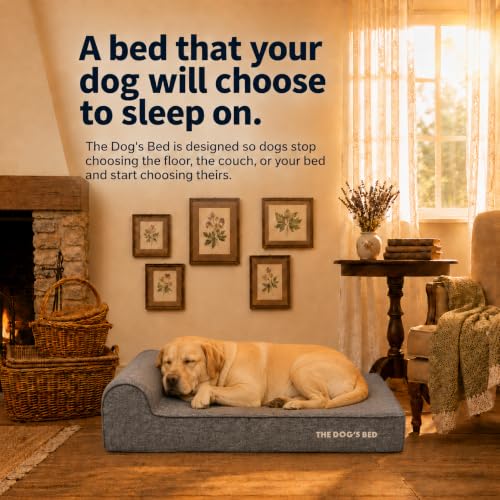 The Dog’s Bed Orthopedic Memory Foam Dog Bed with Headrest Large (Brown Plush / L (40"L x 25"W x 6"Th))