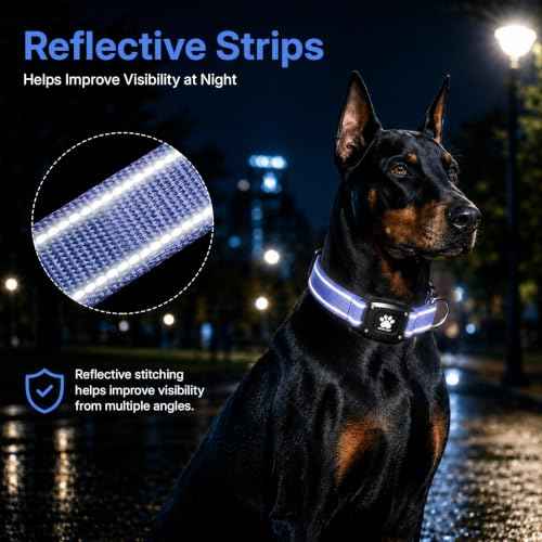 GPS Dog Collar with Tracker (Blue / M(14.5''-19.5''))