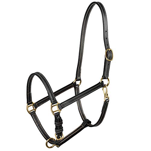 Fremont Soft Synthetic Leather Horse Halter (Black / Pony)