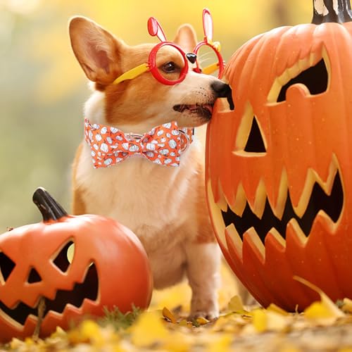 Halloween Day Dog Collar with Bow Line Pumpkin Cotton Dog Collars for Small Medium Large Dogs (Large / Line pumpkin)
