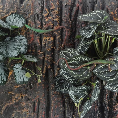 Fake Reptile Plants for Reptile Terrarium Plants