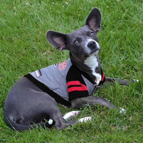 NFL Atlanta Falcons Hoodie for Dogs & Cats. NFL Football Licensed Dog Hoody Tee Shirt (Large / Atlanta Falcons)