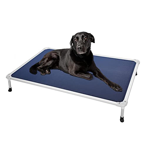 Chew Proof Elevated Dog Bed (Blue / 49.0"L x 33.0"W x 9.0"Th)