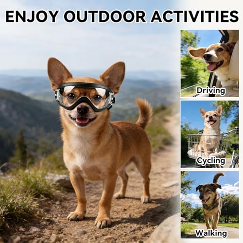 Dog Goggles Small Breed Windproof Anti (Small / Clear)