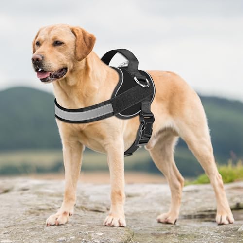 Essential Dog Harness (XL / Black)