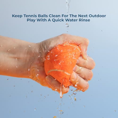 Interactive Squeaky Dog Chew Toy (Tennis (Assorted Color) / Small)
