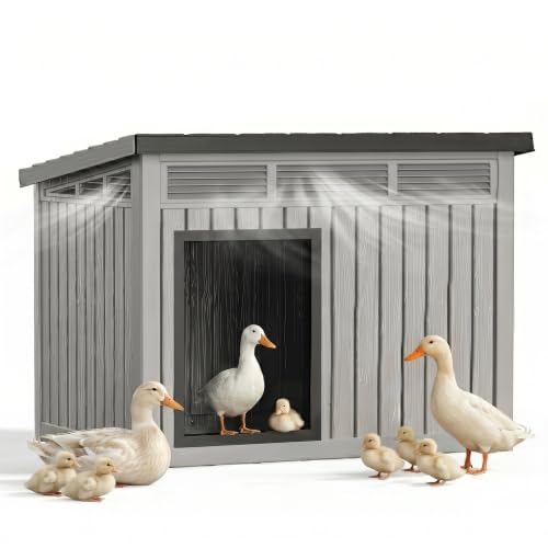 Large Chicken Coop with Hydraulic Air Rod (Grey / 42.9"L x 33.0"W x 31.6"H)