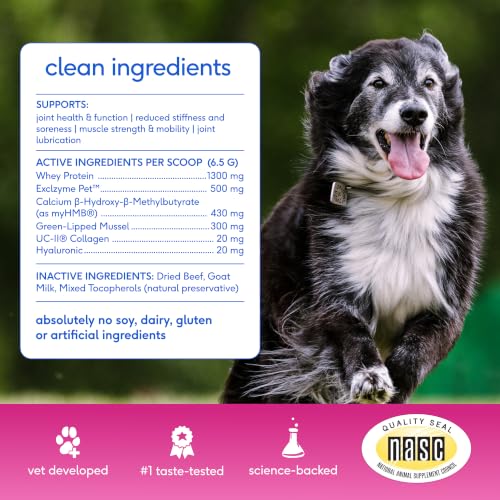 Hip & Joint Advanced Care Dog Joint Supplement Powder for Mobility & Movement Support (30 Count)