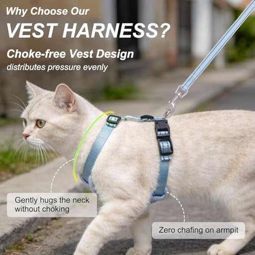 Cat Harness and Leash Set (Blue / S (Chest: 11 - 16"))