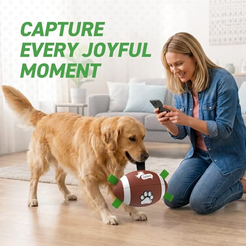 Dog Toys Football (Football / 8 Inch)