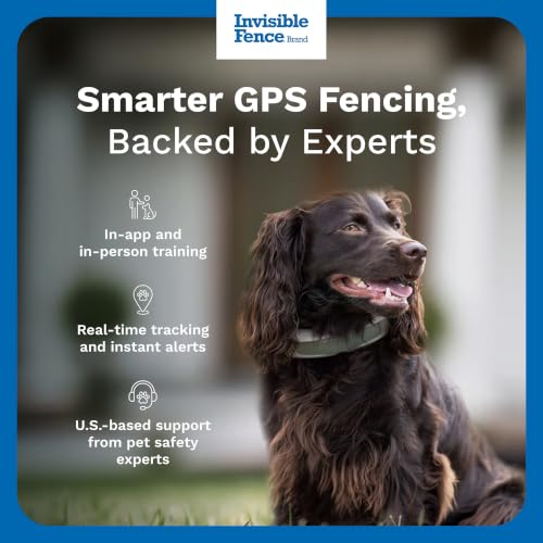 Brand GPS Collar + Tracking (GPS Fence Collar)