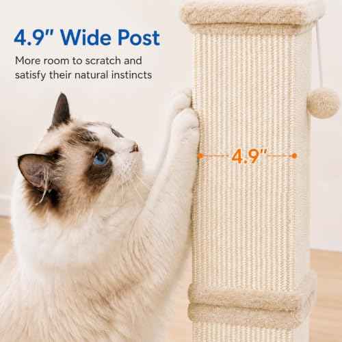 Cat Scratching Post for Indoor Cats (Cream Beige)