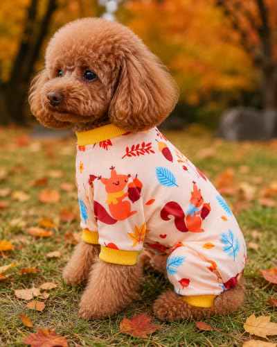 4 Pack Fall Hedgehog Dog Pajamas for Extra Small Doggies (X-Small)